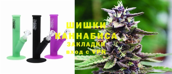 сатива Каменка