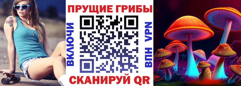 kraken рабочий сайт  Ступино  Галлюциногенные грибы GOLDEN TEACHER  купить  